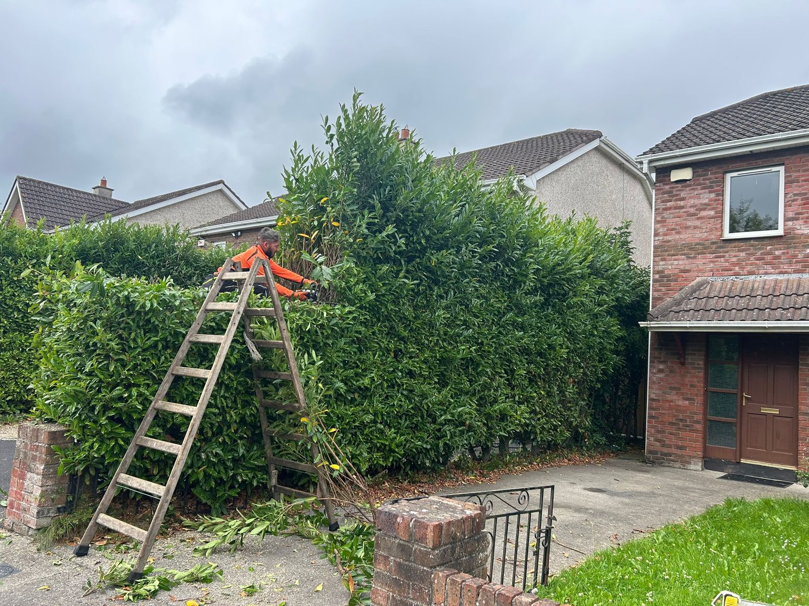 511136490 122113271468897484 8825038870040475782 n