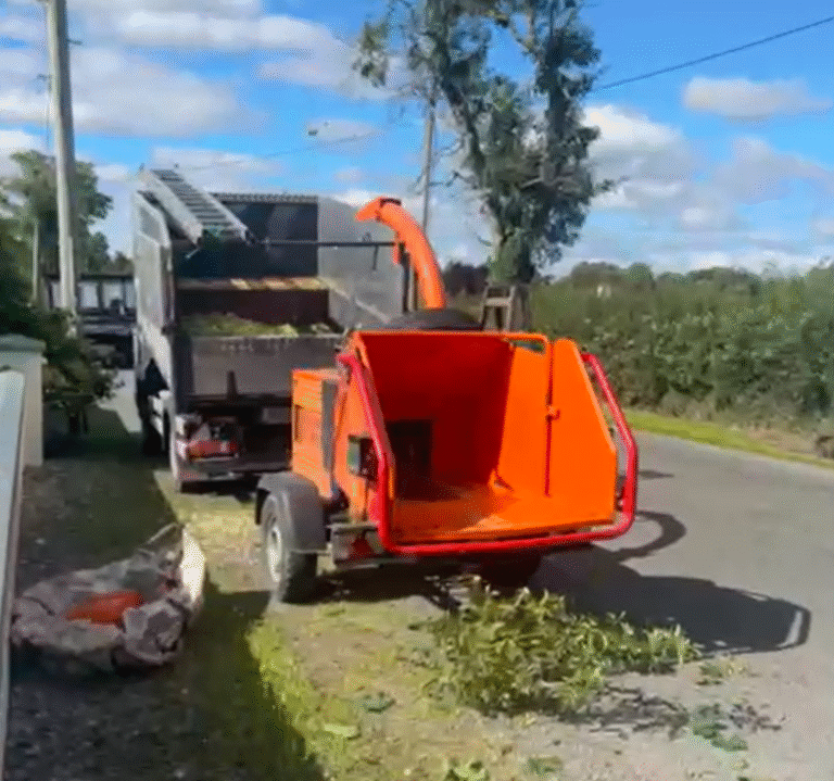 tree stump removal Dublin improve landscaping and design plans