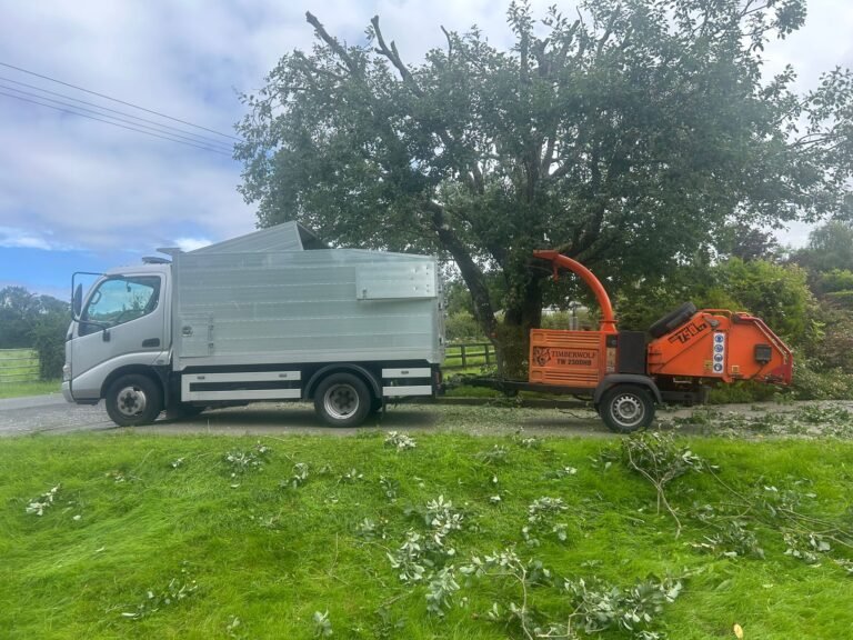 Benefits Come from Professional Tree Pruning Dublin Services