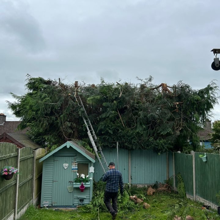 whatsapp image 2025 08 03 at 15.08.52